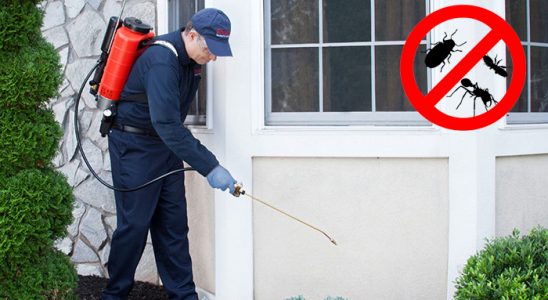 Kent 2 Tahtakurusu İlaçlama böcek ilaçlama ve haşere kontrolü — ilaclama-tr.com